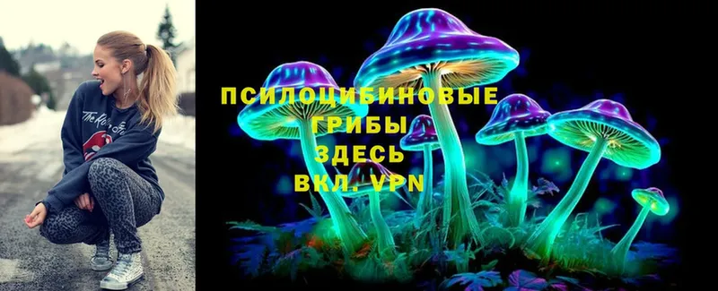 гидра маркетплейс  где найти   Игра  Галлюциногенные грибы MAGIC MUSHROOMS 